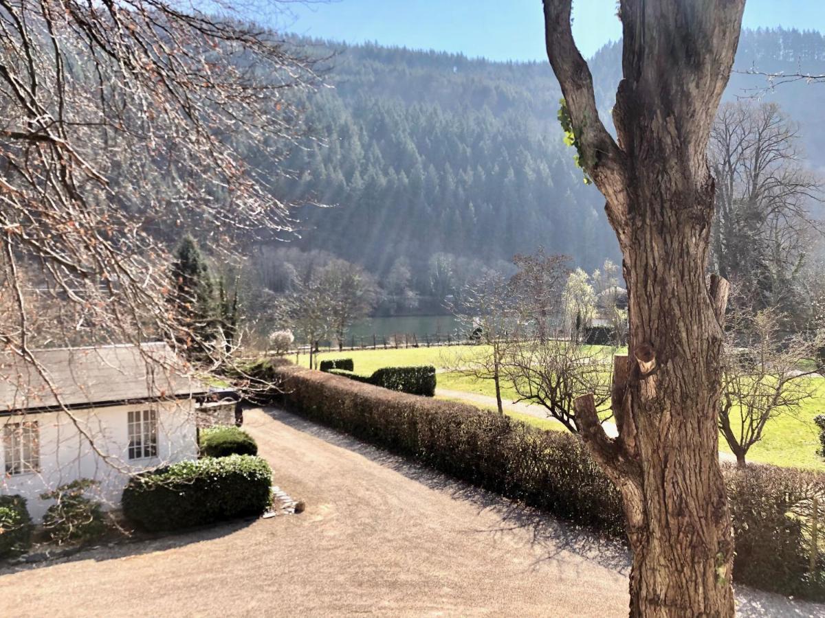 Ferienwohnung Weingut Villa Huesgen Am Moenchhof Traben-Trarbach Exteriér fotografie